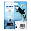 Epson cartucho de tinta negro (C13T76094010 / T7609)