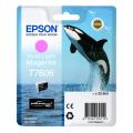 Epson cartucho de tinta magenta foto (C13T76064N10 / T7606)