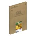 Epson cartucho de tinta negro / cian / magenta / amarillo (C13T10H64510 / 604XL) (multipack, alta capacidad)